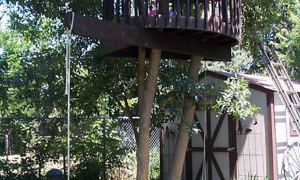 Treehouse