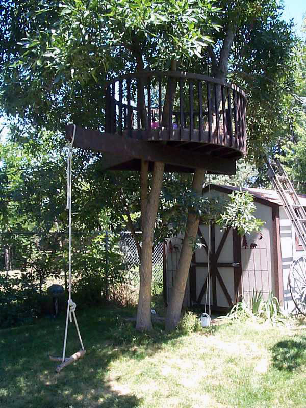 Treehouse Littleton 2